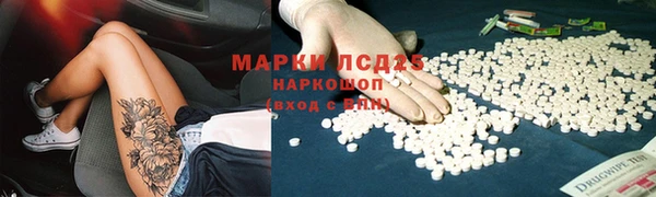 индика Балабаново