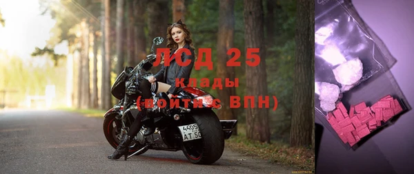 индика Балабаново