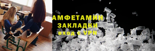 индика Балабаново