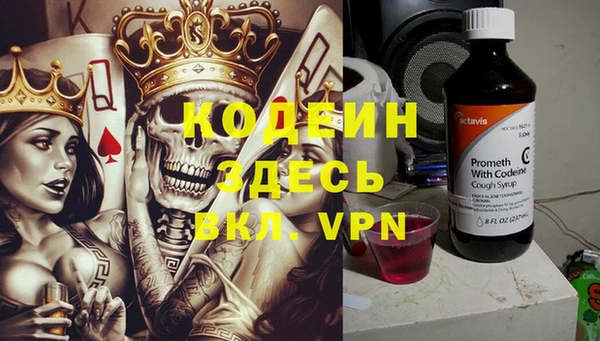 индика Балабаново