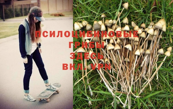 индика Балабаново