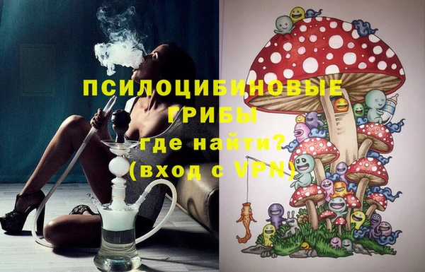 индика Балабаново