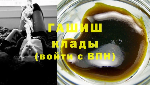 индика Балабаново