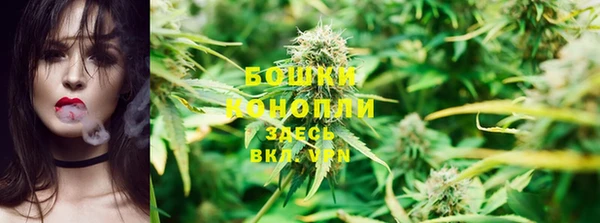 индика Балабаново