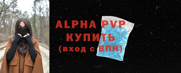 индика Балабаново