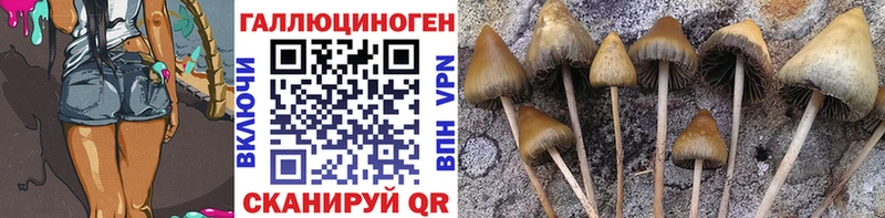 Галлюциногенные грибы MAGIC MUSHROOMS  Нерюнгри 